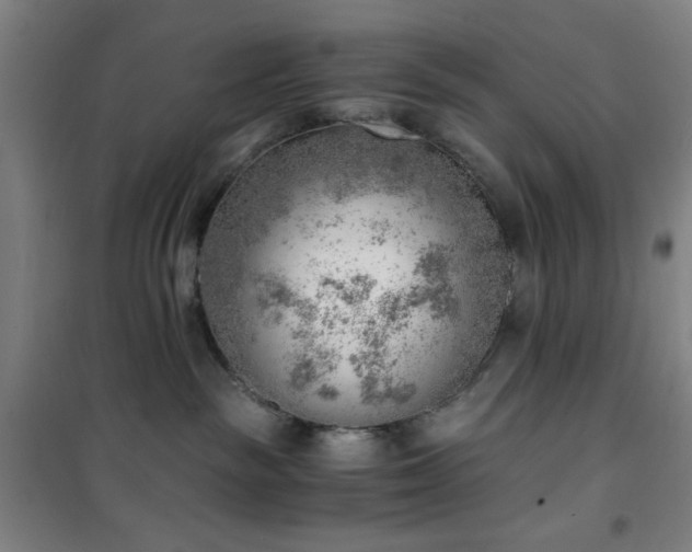 X0000101650189200807101240