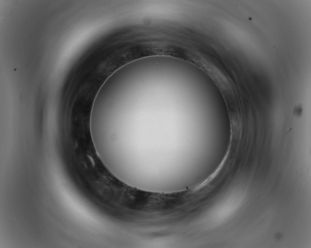 X0000101650190200807101240