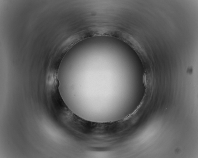 X0000101650191200807101240