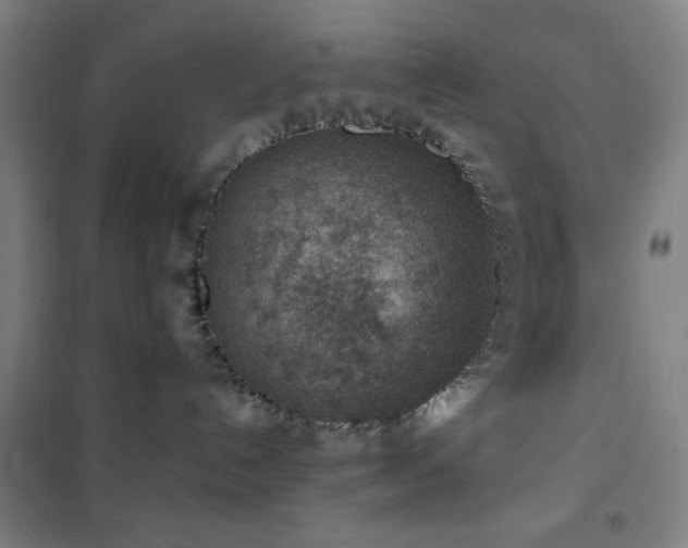 X0000101650192200807101240