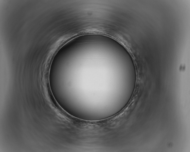 X0000101650193200807101239