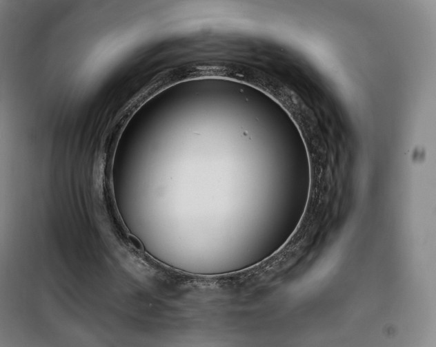 X0000101650194200807101239