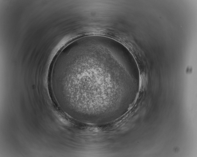 X0000101650195200807101239