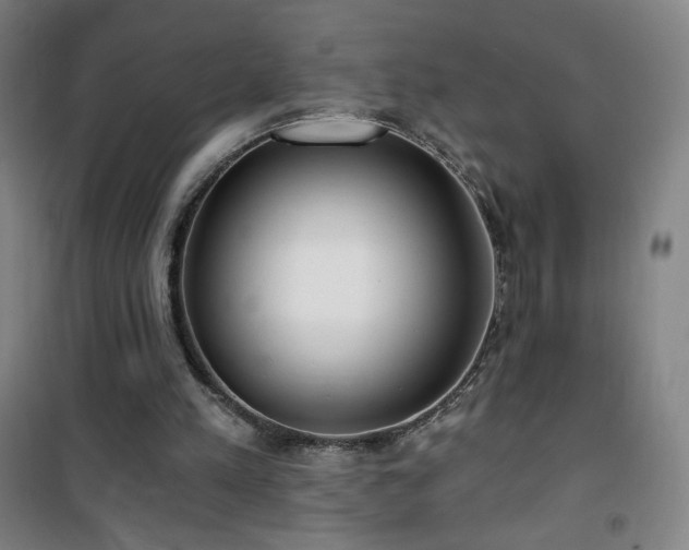 X0000101650197200807101239