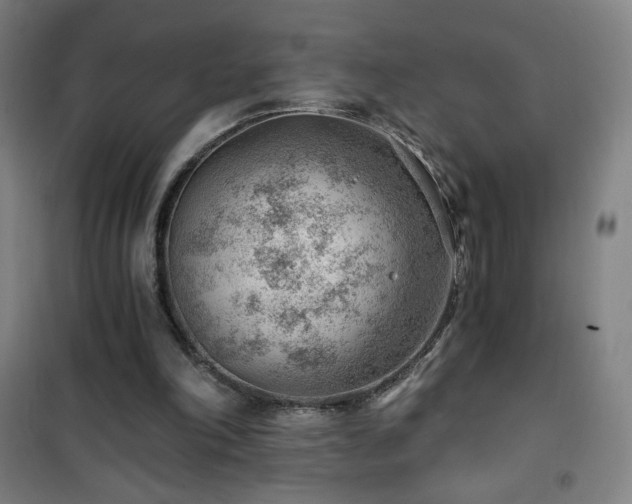 X0000101650198200807101239