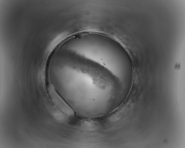 X0000101650199200807101239