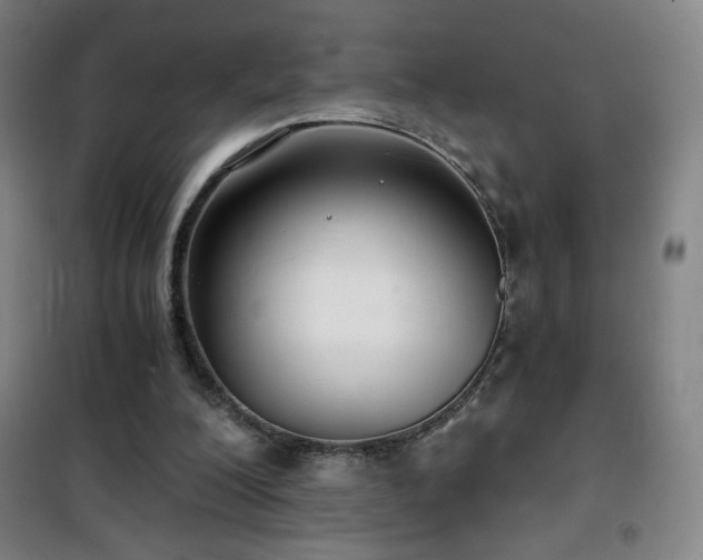 X0000101650200200807101239