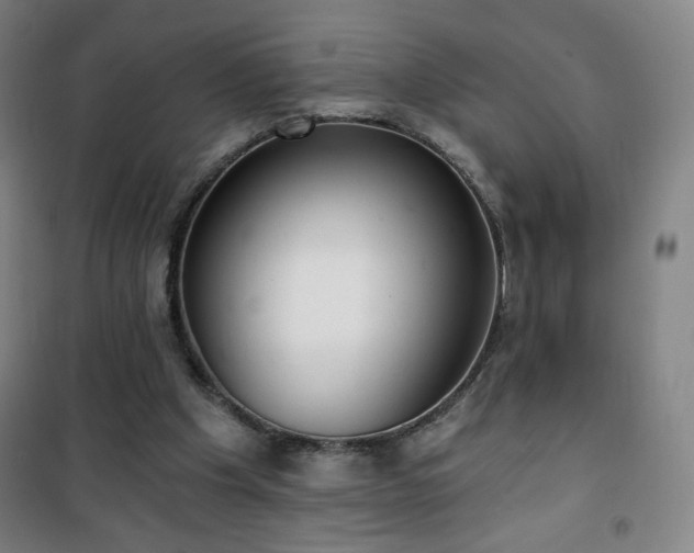 X0000101650201200807101239