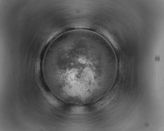 X0000101650202200807101239