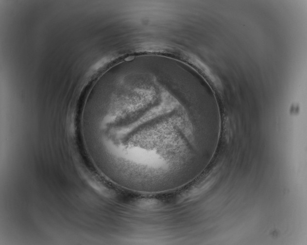 X0000101650203200807101239