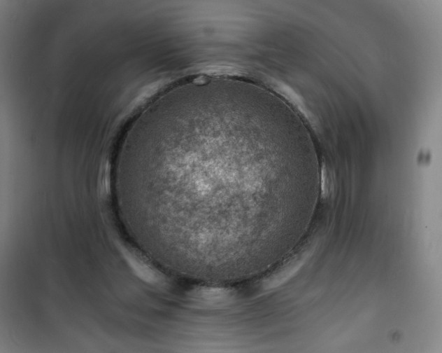 X0000101650205200807101239