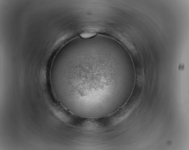 X0000101650207200807101239