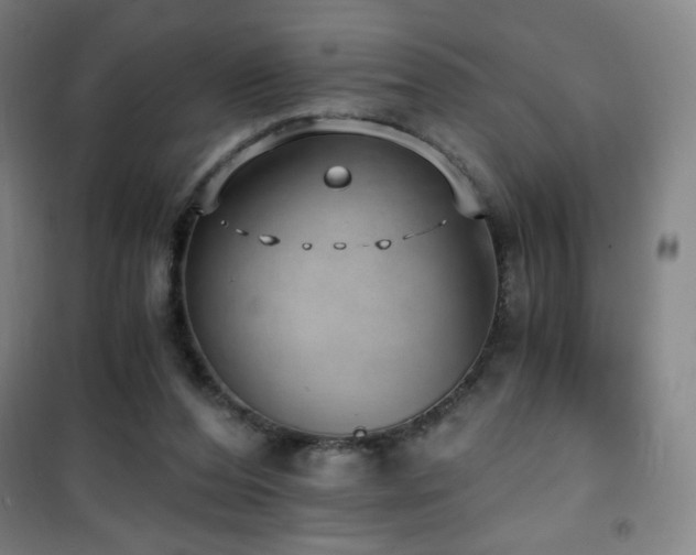 X0000101650208200807101239