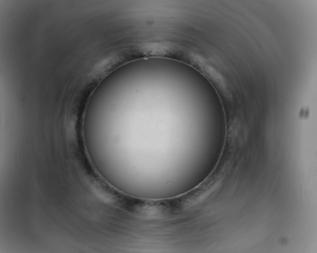 X0000101650209200807101239