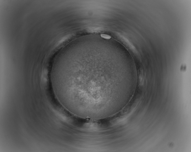 X0000101650211200807101239