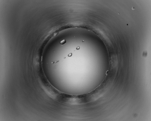 X0000101650212200807101239