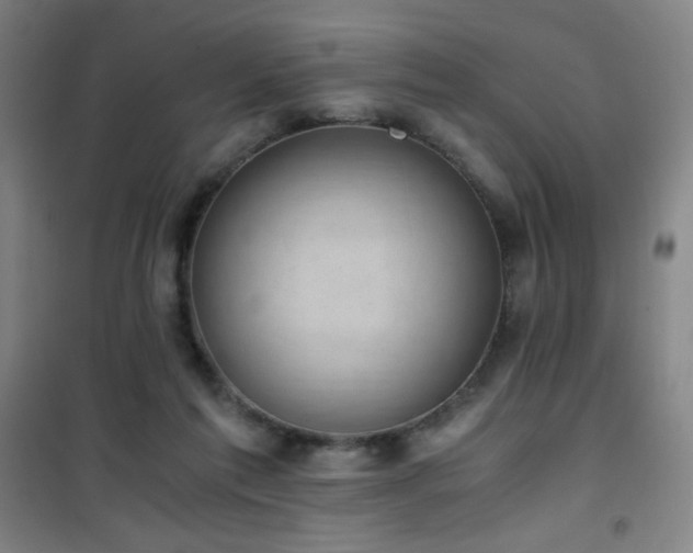 X0000101650213200807101239