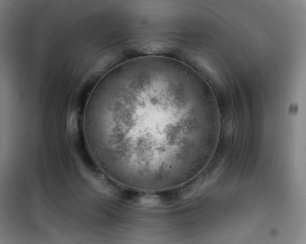 X0000101650214200807101239