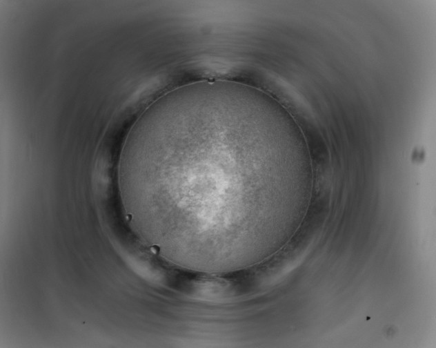 X0000101650215200807101239