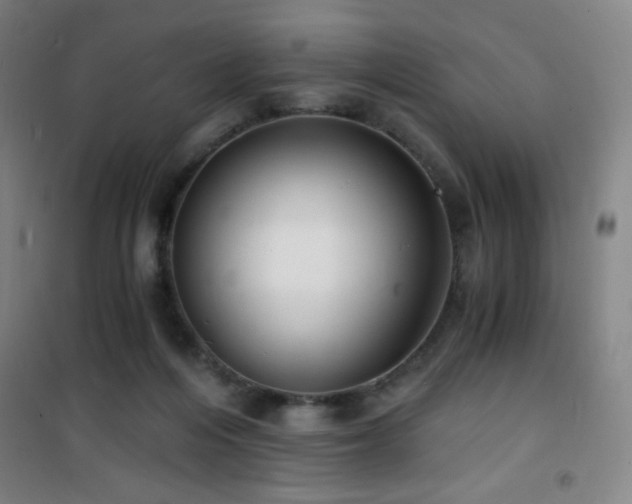 X0000101650216200807101239