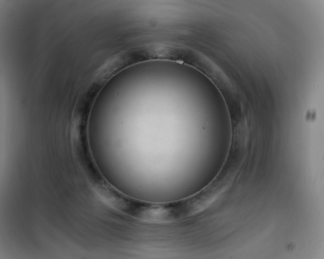 X0000101650217200807101239