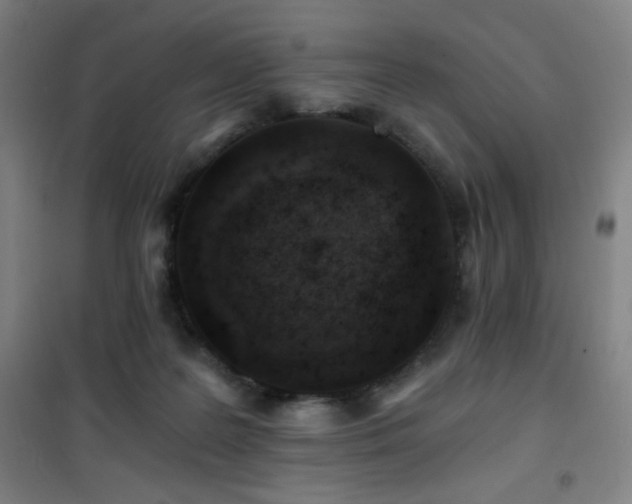 X0000101650219200807101239