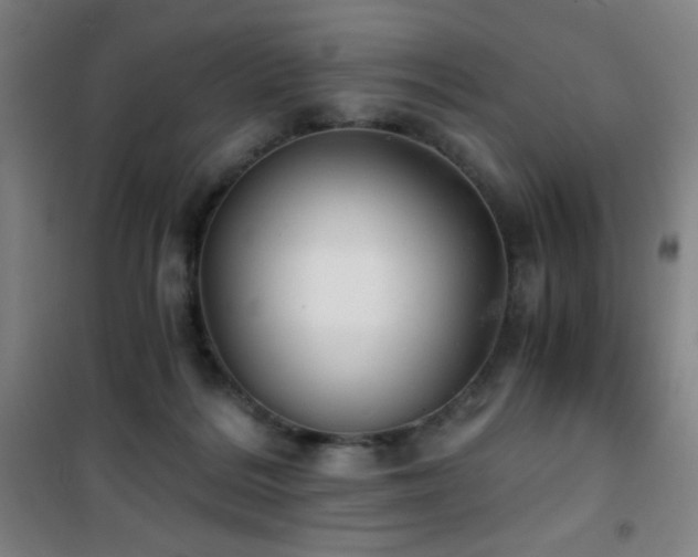 X0000101650220200807101239