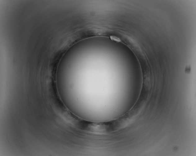 X0000101650221200807101239