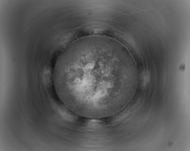 X0000101650222200807101239