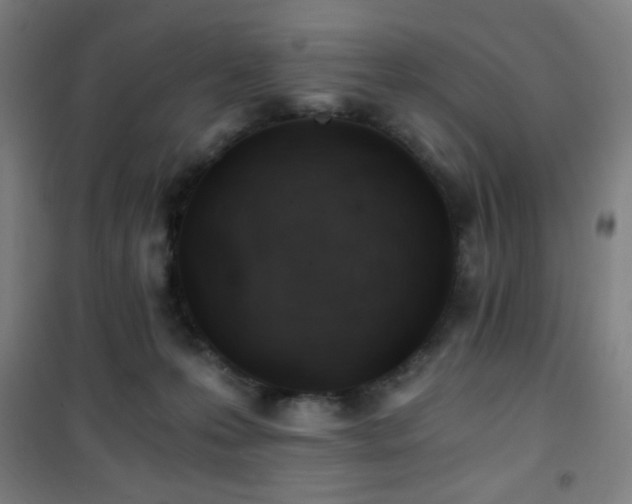 X0000101650223200807101239