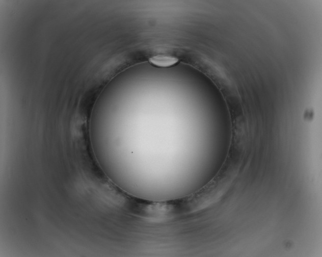 X0000101650225200807101239