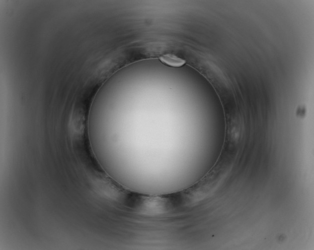 X0000101650226200807101239