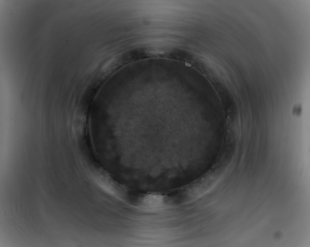 X0000101650227200807101239