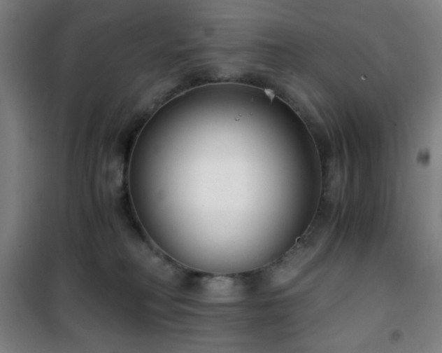 X0000101650230200807101239