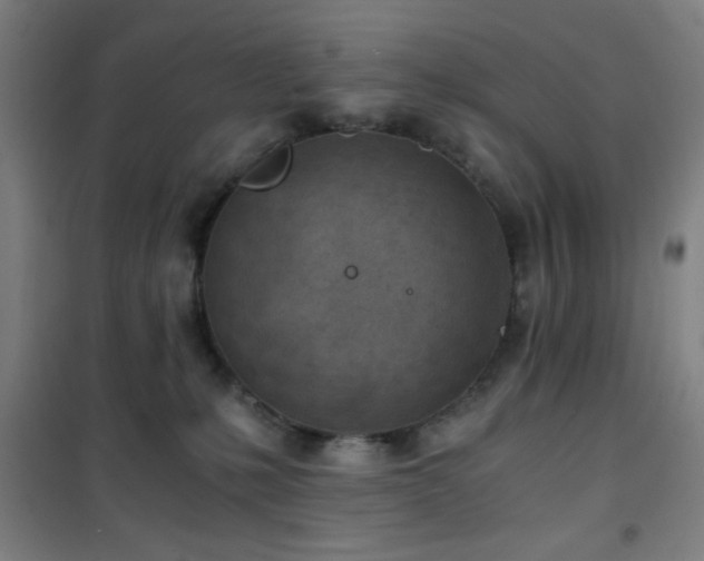 X0000101650231200807101239