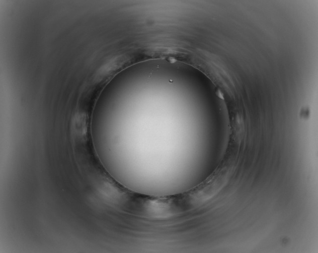 X0000101650232200807101239