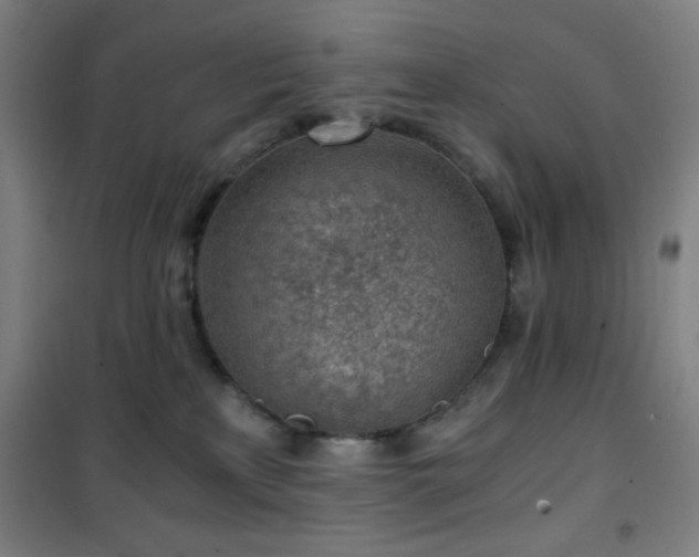 X0000101650233200807101239