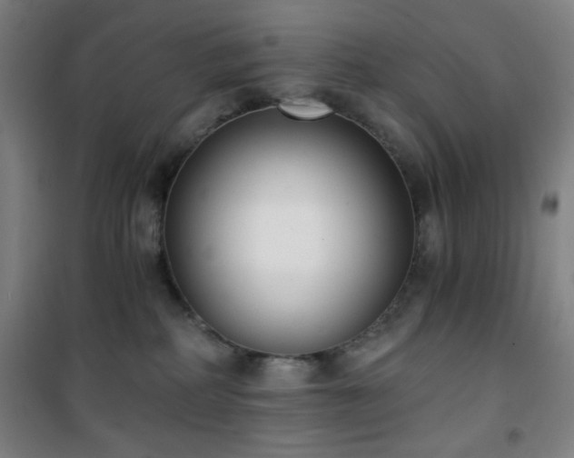 X0000101650234200807101239