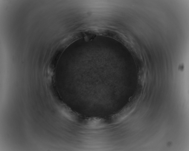 X0000101650235200807101239