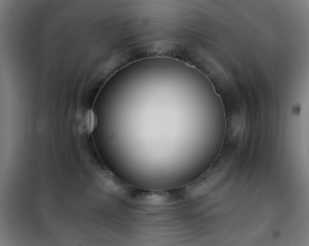 X0000101650236200807101238