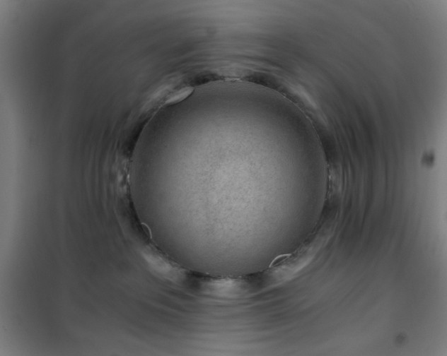 X0000101650237200807101238