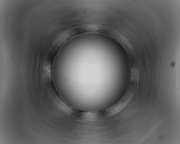 X0000101650238200807101238