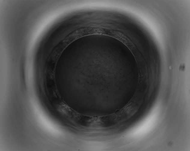 X0000101650239200807101238