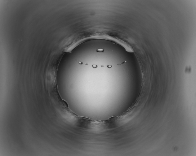 X0000101650240200807101238