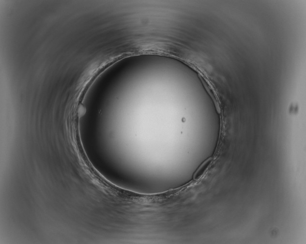 X0000101650241200807101238