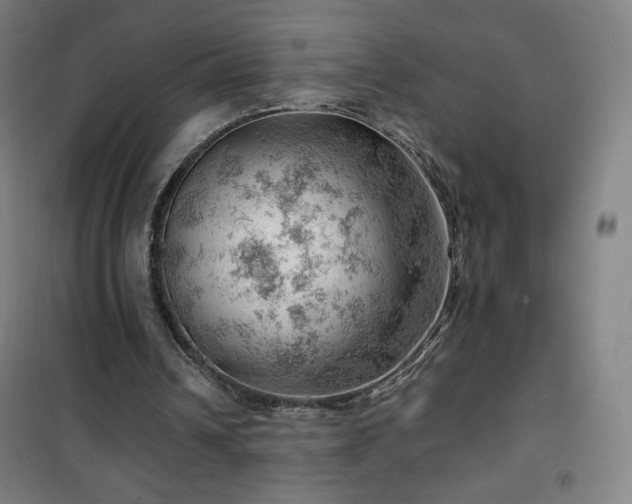 X0000101650242200807101238