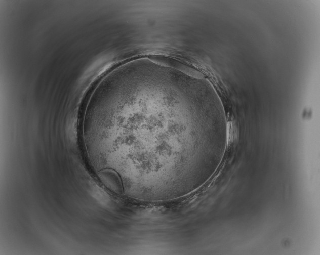 X0000101650243200807101238