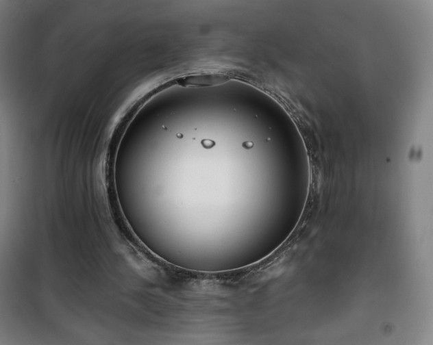 X0000101650244200807101238