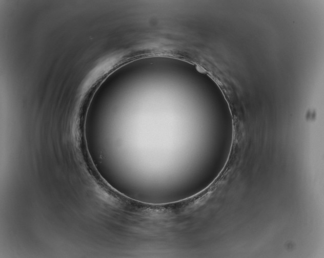 X0000101650245200807101238