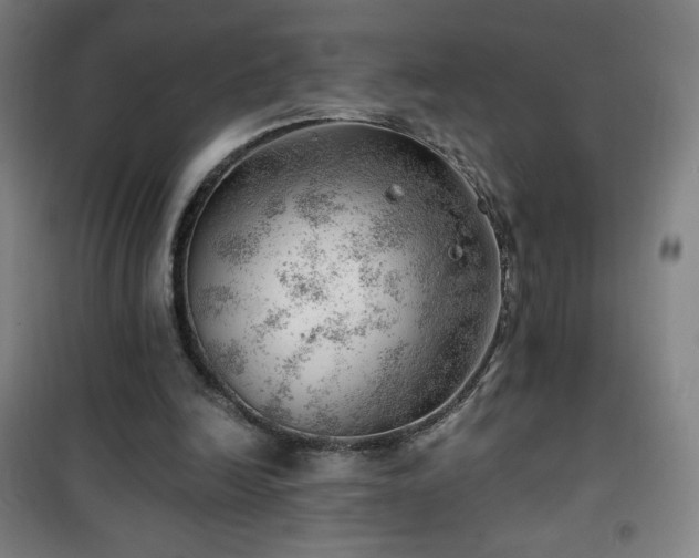 X0000101650246200807101238